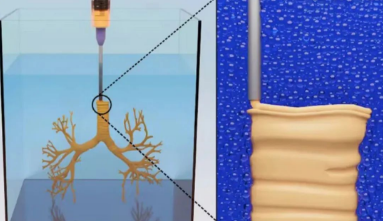 3D打印注入“生命力”！登顶《Science》和《Nature》正刊的技术盘点！